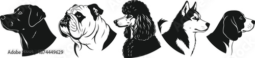 Silhouette vector set of 5 different dog profiles labrador bulldog poodle husky and beagle side view