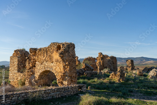 The archaeological site of Chemtou in Tunisia is known for its ancient marble quarries and Roman remains, illustrating the region’s importance as a major source of high-quality stone in antiquity.