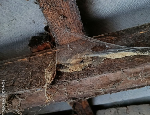 Foto Thick cobwebs and dust covering old wooden roof beams