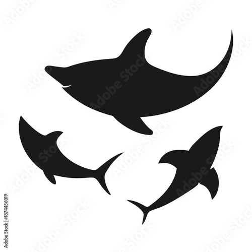 vector illustration of a shark