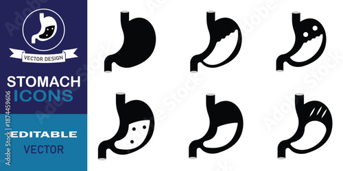 Human, Animal stomach silhouette vector set illustration isolated on white background. Digestive system concept. Stomach vector illustration.