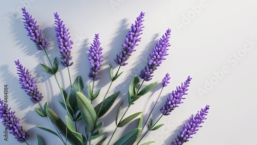 Close-up of lavender, perfect for conveying tranquility and elegance. Showcasing the soothing aesthetic of this fragrant flora and its peaceful essence.