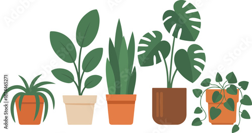 A flat, minimalist illustration of five potted houseplants arranged in a horizontal line against a white background.