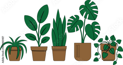 A flat, minimalist illustration of five potted houseplants arranged in a horizontal line against a white background.