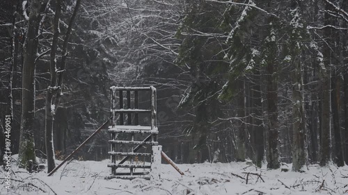 Schneefall und Nebel im Wald in HDR HLG