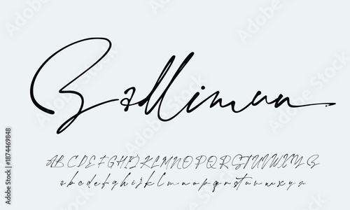  handwrite signature font Calligraphy Logotype Script Brush Font Type Font lettering handwritten  