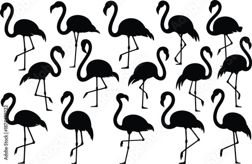 Collection of black flamingo silhouettes in various poses on a white background bird animal