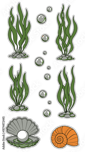 Underwater Scene Featuring Seaweed and Shells as Key Element in an Oceanic Environment from a Top-Down Viewpoint