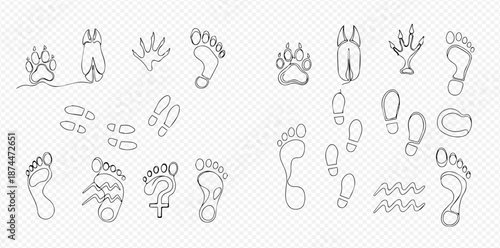 Set of various animal paw prints, human footprints, and shoe tracks in continuous line art style.