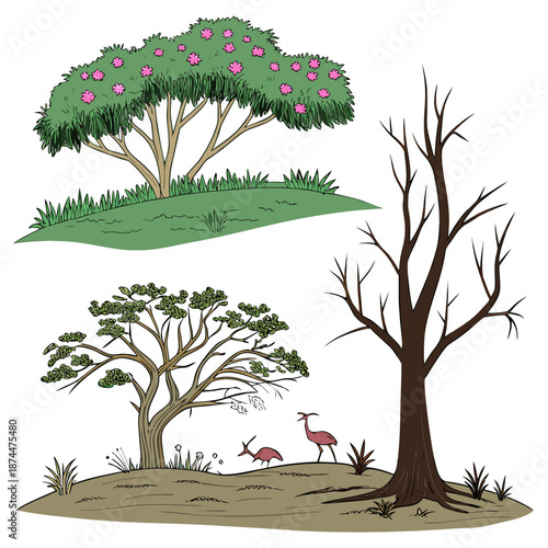 Living land vs lifeless land shown in one frame tree