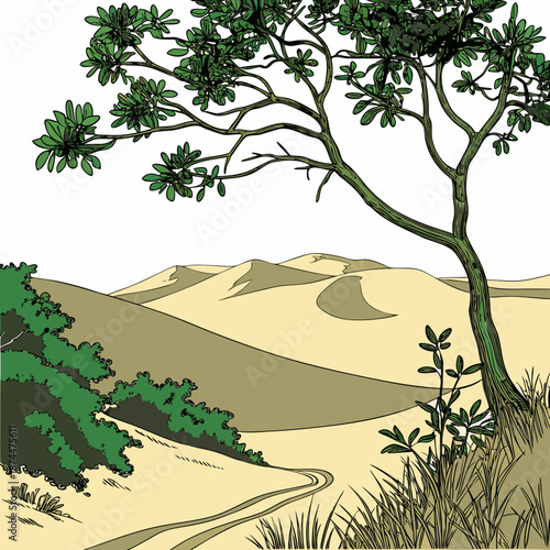 Lush valley fading into sand valley tree sand dunes