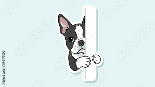 Small boston terrier dog character peeking curiously from behind a vertical white bar on a light blue background.