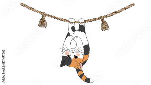 Playful calico cat hanging upside down from a thick brown rope with a curious and cute facial expression.