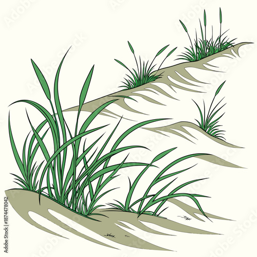 Green grass growing on sand dunes beach coastal landscape