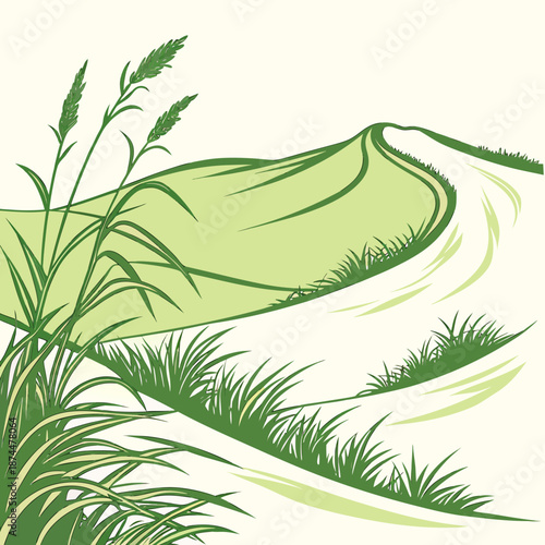 Vibrant green plain shifting into pale sandy dunes