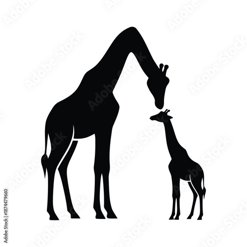 Gentle Giraffe Nurturing Its Baby