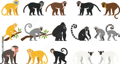 Set of various monkey and primate characters including gorilla lemur baboon and golden monkey in different natural poses isolated on white background