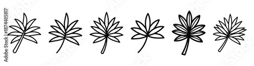 palm branch christian Line art illustration isolated on white background of palm sunday icons