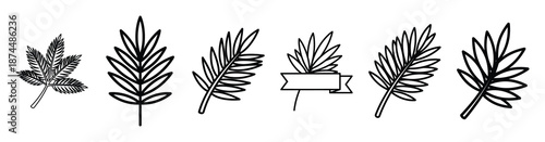 palm leaf celebration Line art illustration isolated on white background of palm sunday icons