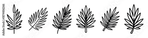 palm leaf christian Line art illustration isolated on white background of palm sunday icons