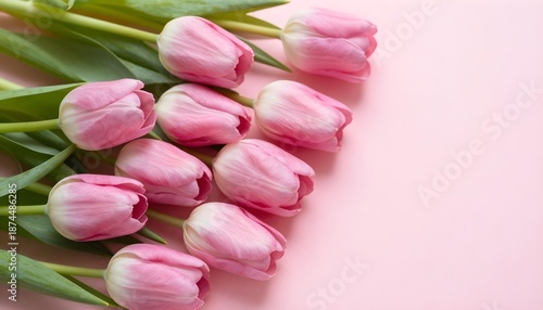Soft pink tulips arranged diagonally on a pastel pink background, elegant floral composition