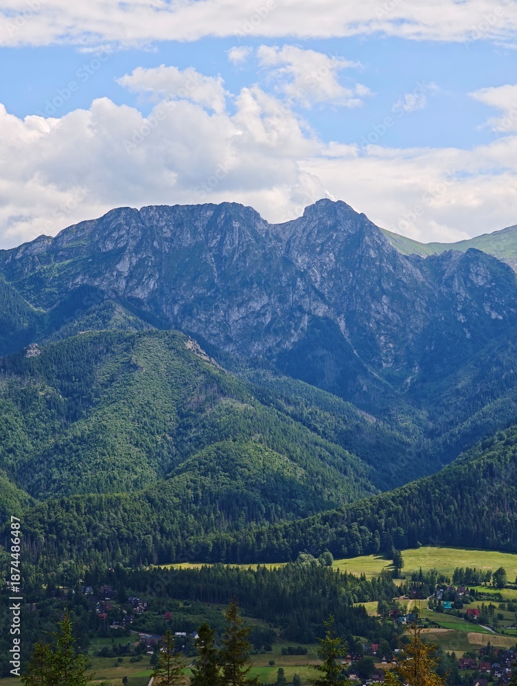 Obraz premium Majestic mountain view with green forest and bright clouds above peaceful valley