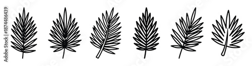 palm leaf religious Line art illustration isolated on white background of palm sunday icons