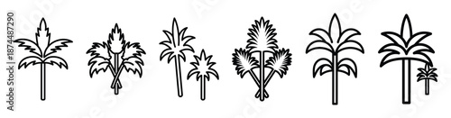 sacred procession palms Line art illustration isolated on white background of palm sunday icons