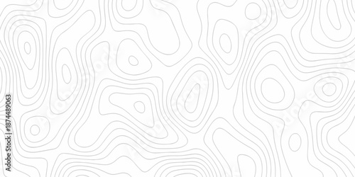 Minimal Lines Topographic contour lines grid map seamless pattern. Minimal Lines Topographic contour lines grid map seamless pattern. Background of the topography map with lines.