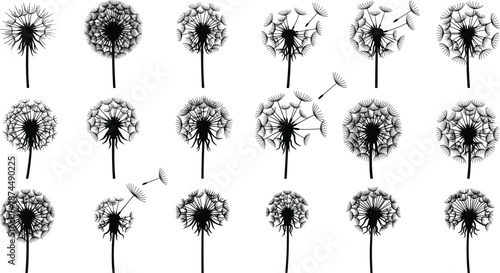 Set of black dandelion flower silhouettes with seeds blowing in the wind isolated on white background flat vector illustration