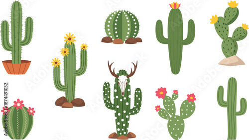 Set of various cactus and succulent characters with colorful flowers in pots and natural desert settings vector illustration