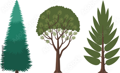 Tree silhouette icons, conifer deciduous tropical, black design, botanical shapes, nature symbols, foliage types, environmental graphic elements