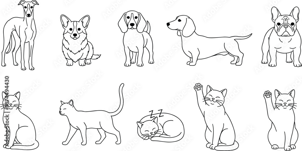Fototapeta premium Vector Line Art Set of Popular Cat and Dog Breeds Featuring Greyhound Corgi Beagle Dachshund and French Bulldog in Various Poses Including Sitting Walking Sleeping and Waving