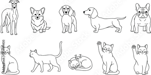 Vector Line Art Set of Popular Cat and Dog Breeds Featuring Greyhound Corgi Beagle Dachshund and French Bulldog in Various Poses Including Sitting Walking Sleeping and Waving