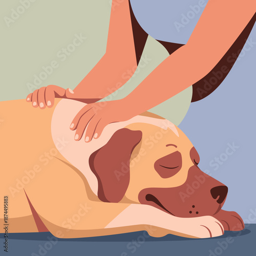 Human hand gently strokes a sleeping labrador retriever dog to provide comfort and care in a quiet and peaceful setting.