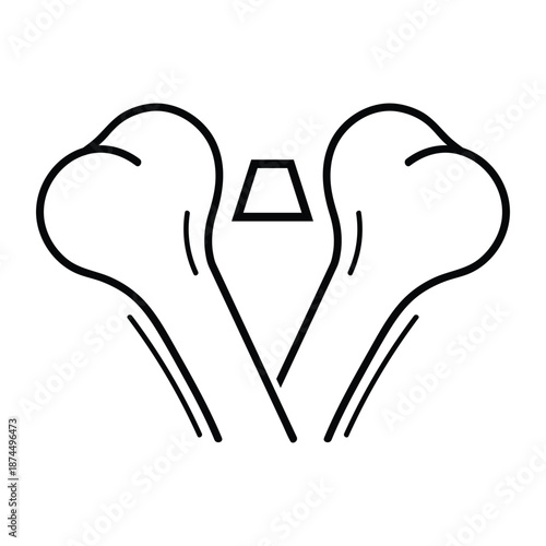 Ribs isolated on white background