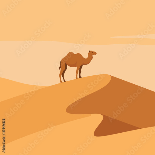Single dromedary camel standing atop a golden sand dune in a wide desert landscape under a clear and warm desert sky.