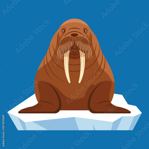 Frontal view of a walrus sitting on a small white iceberg in dark blue arctic water against a solid blue background vector illustration.