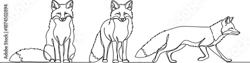 Fox illustration, line drawing, animal sketch, walking fox, sitting foxes, wildlife art, minimal style, fur detail, nature pose, anatomy study