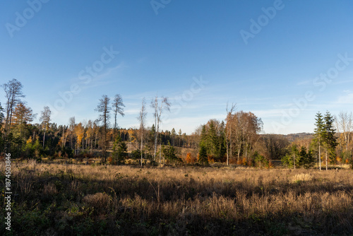 Herbst am Grenzwanderweg in der Oberlausitz