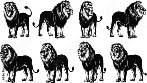 Lion illustration set, black and white drawing, vintage ink style, majestic animal poses, wild cat artwork, detailed mane, powerful stance