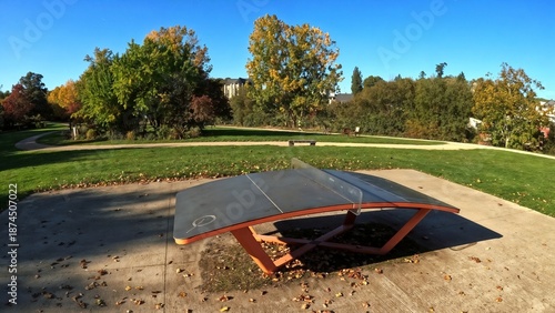 Ping pong table located in a park, inviting players to enjoy a game amidst nature and open space. Outdoor ping pong table in park surrounded by trees and grass  