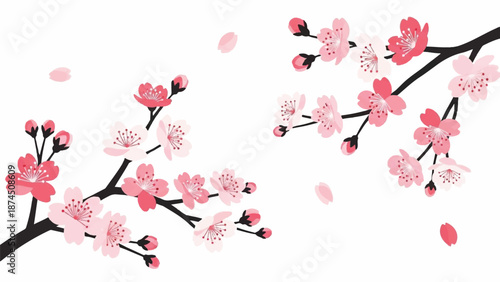 Cherry blossoms falling gently from branches in bloom, serene illustration