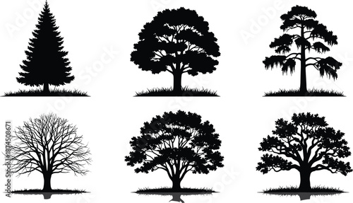 Collection of various tree silhouettes including oak, pine, and bare winter branches, black vector nature icons isolated on white background for landscape design.