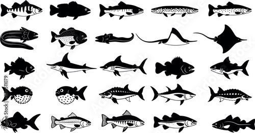 Collection of Marine Fish Silhouettes Featuring Shark Stingray Salmon Tuna Pufferfish and Eel Vector Icons for Educational Nature and Fishing Designs