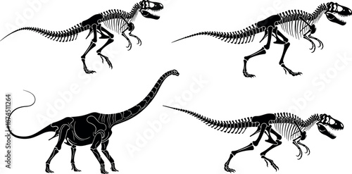 Detailed Black Silhouette Illustration of Dinosaur Skeleton Vectors Including Tyrannosaurus Rex and Long Neck Sauropod Isolated on a White Background