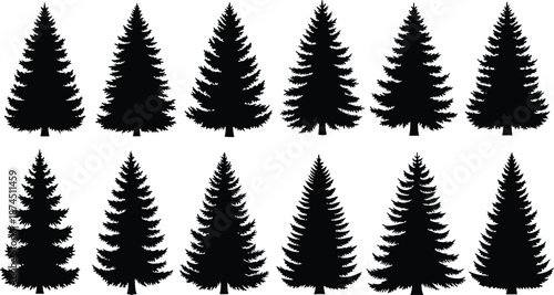 Pine tree silhouette vector set, evergreen forest conifer shapes collection, black nature tree illustrations for winter design, woodland landscapes, logos, and outdoor branding