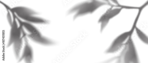 Tree Leaves Shadow Background. Plant Branch and Leaf Overlay. Vector Transparent Summer Palm Shades. Png Abstract Summer Light Effect.