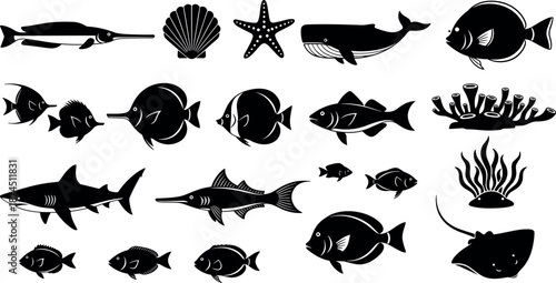 Set of black marine animal silhouettes including sharks whales tropical fish coral starfish and seashells isolated on a white background vector
