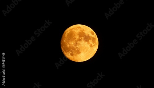 Wallpaper Mural bright full yellow moon against dark sky Torontodigital.ca